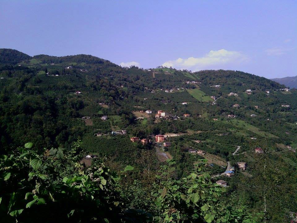 Araklı Yüceyurt Köyü Resimleri 11