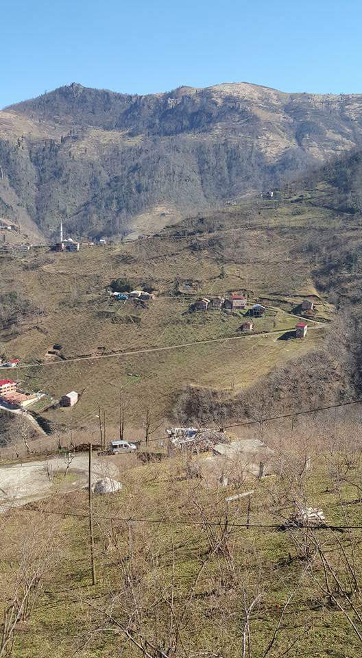 Araklı Yüceyurt Köyü Resimleri 13