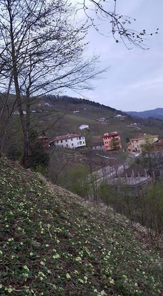 Araklı Yüceyurt Köyü Resimleri 14