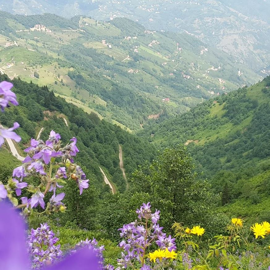 Araklı Yüceyurt Köyü Resimleri 15