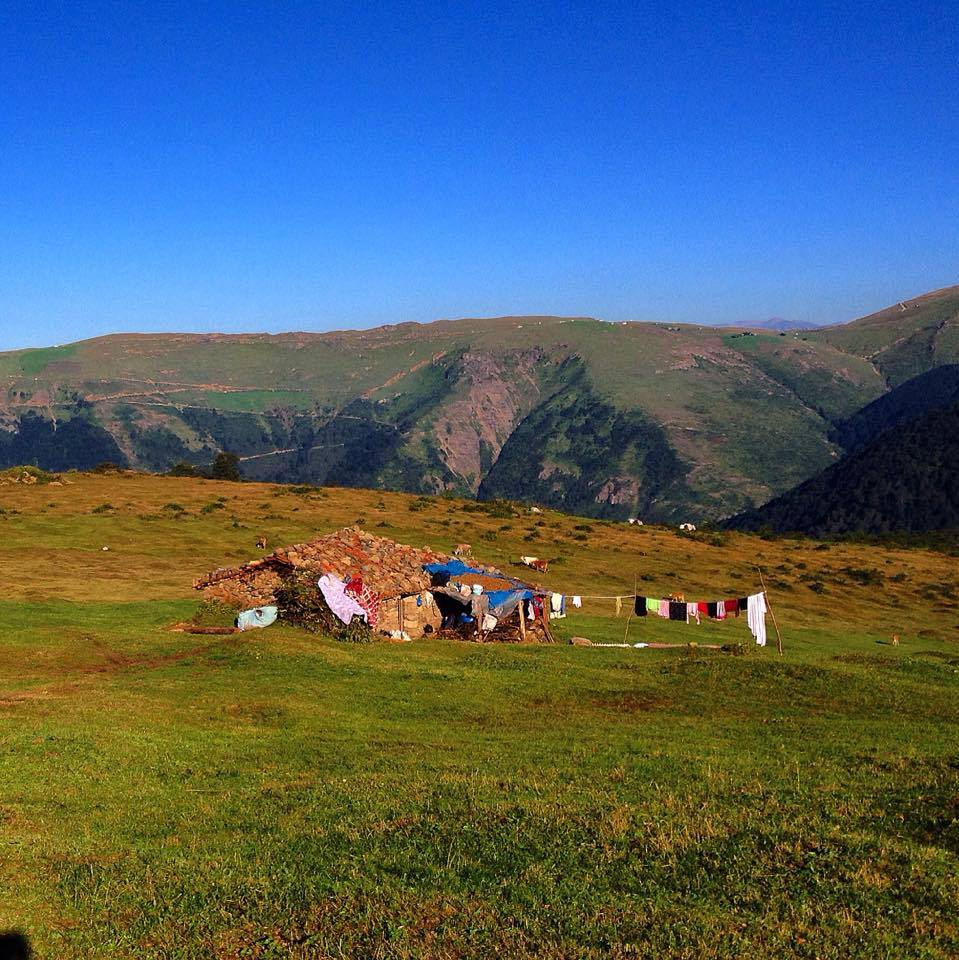 Araklı Yüceyurt Köyü Resimleri 18