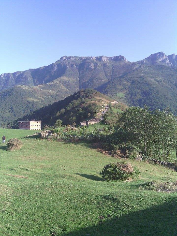 Araklı Yüceyurt Köyü Resimleri 19