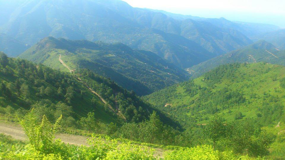 Araklı Yüceyurt Köyü Resimleri 23