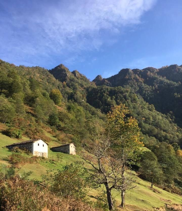 Araklı Yüceyurt Köyü Resimleri 27