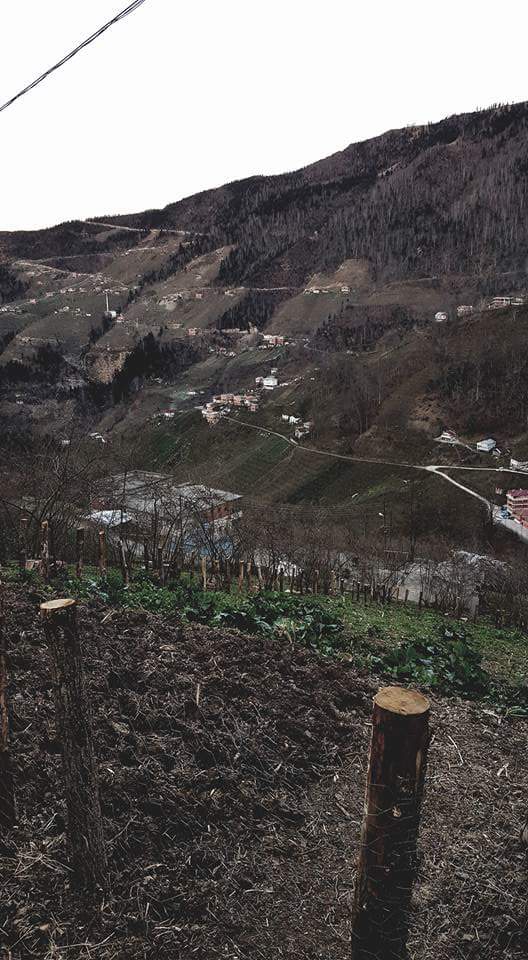 Araklı Yüceyurt Köyü Resimleri 28