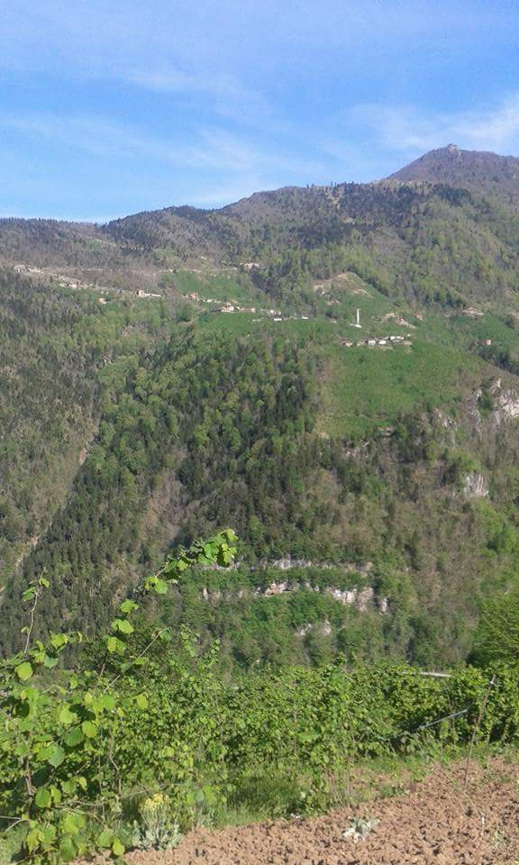 Araklı Yüceyurt Köyü Resimleri 29