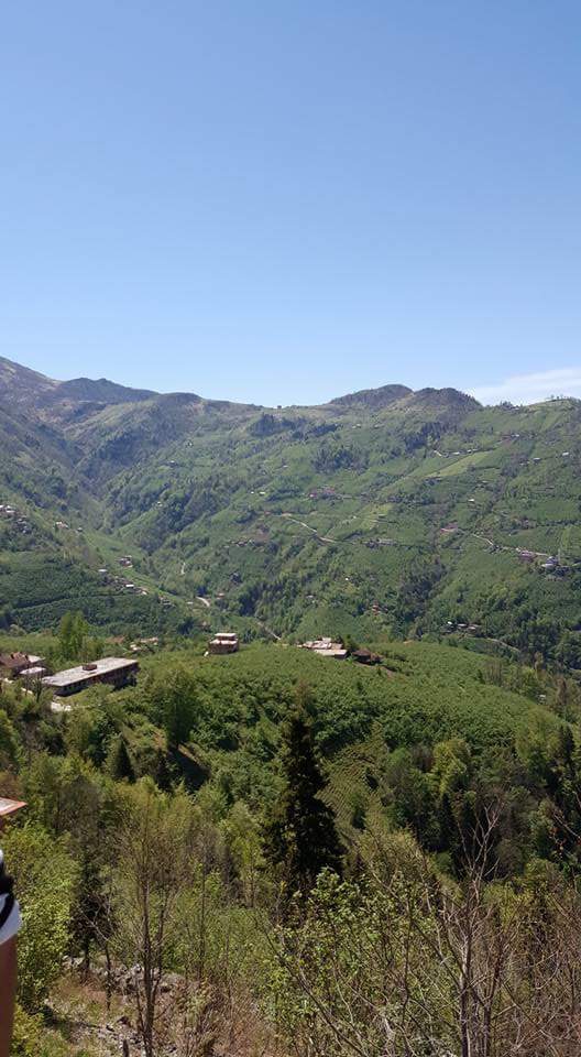 Araklı Yüceyurt Köyü Resimleri 30