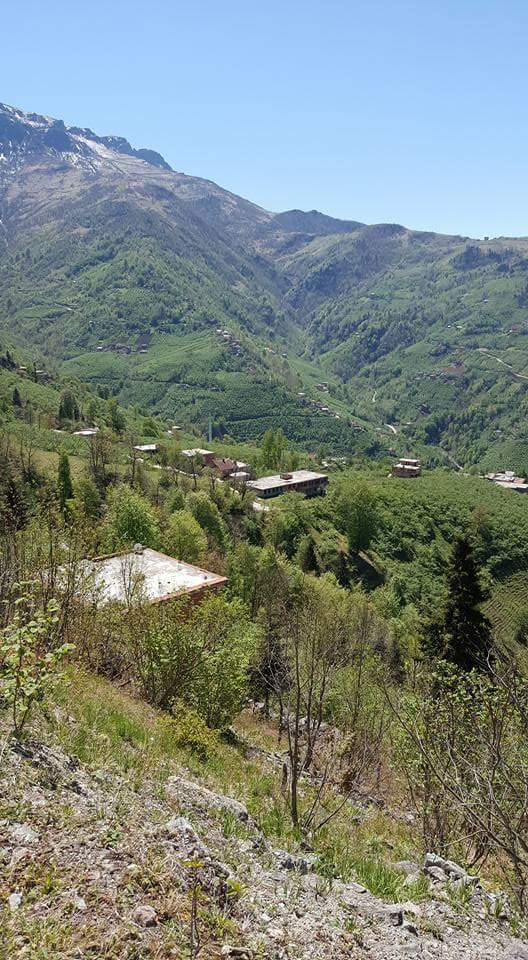 Araklı Yüceyurt Köyü Resimleri 31