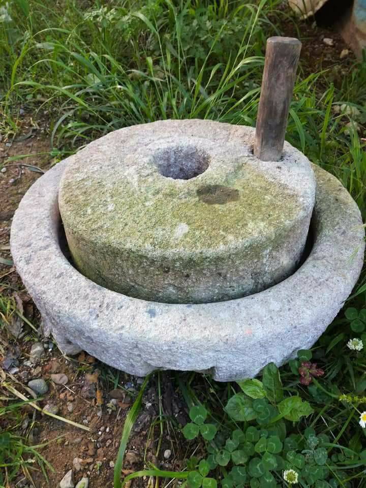 Araklı Yüceyurt Köyü Resimleri 34