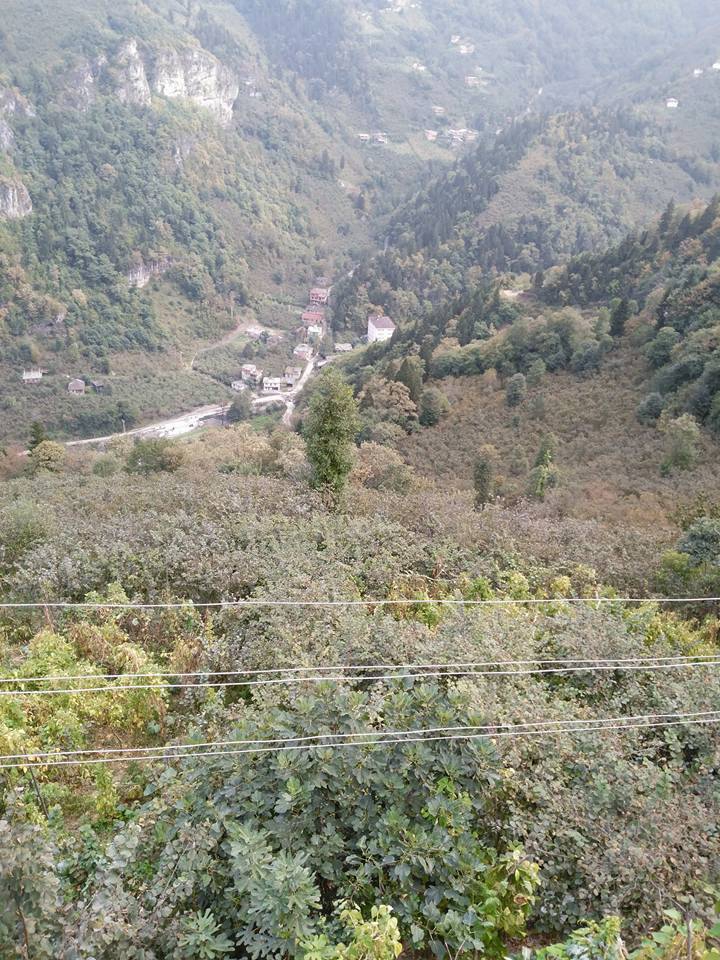 Araklı Yüceyurt Köyü Resimleri 35