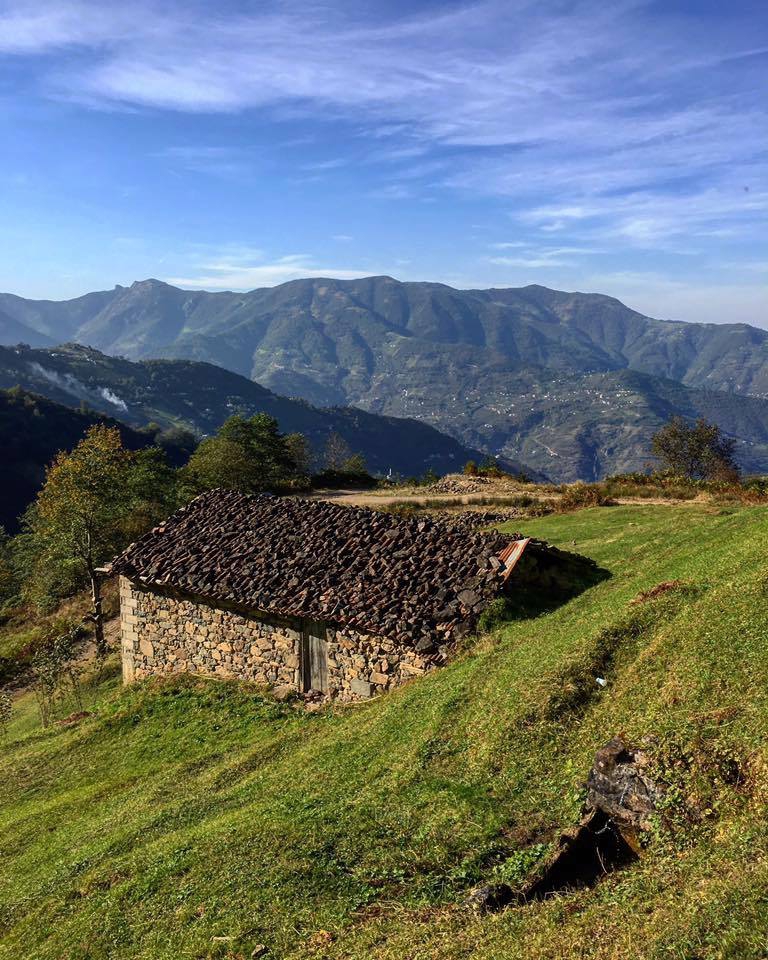 Araklı Yüceyurt Köyü Resimleri 38