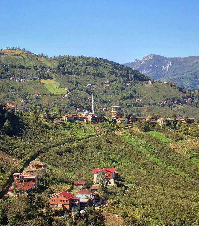 Araklı Yüceyurt Köyü Resimleri 39