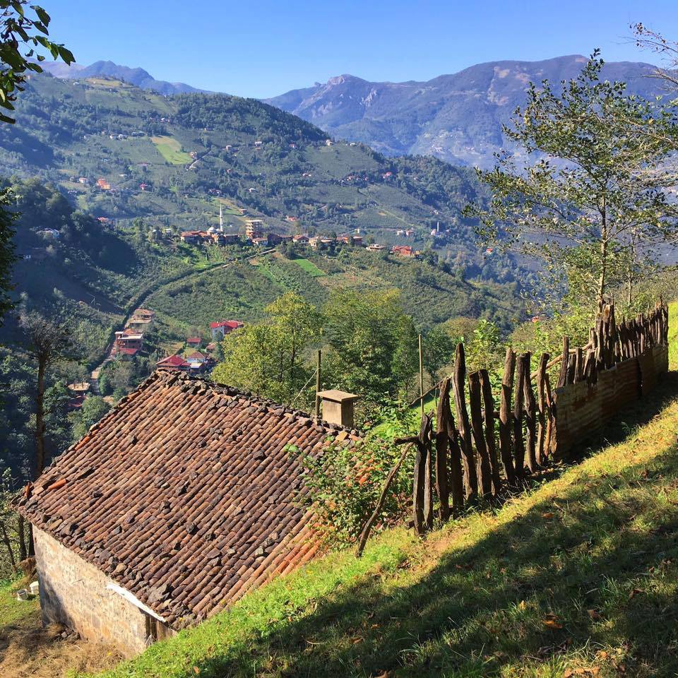 Araklı Yüceyurt Köyü Resimleri 40