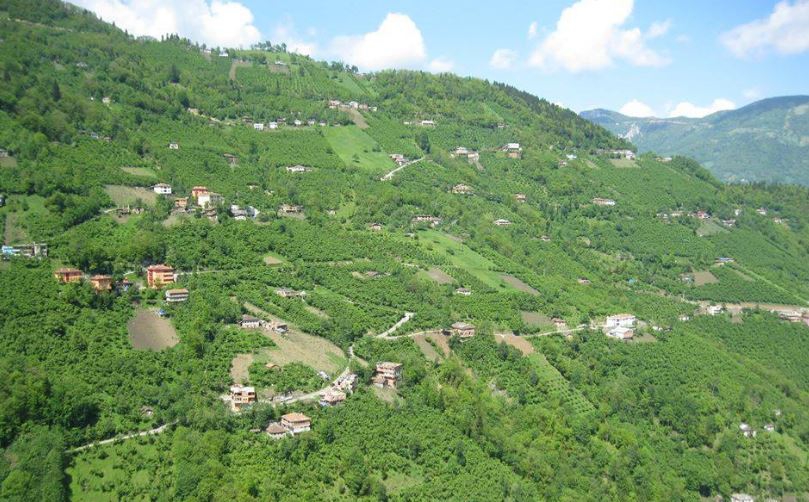 Araklı Yüceyurt Köyü Resimleri 6