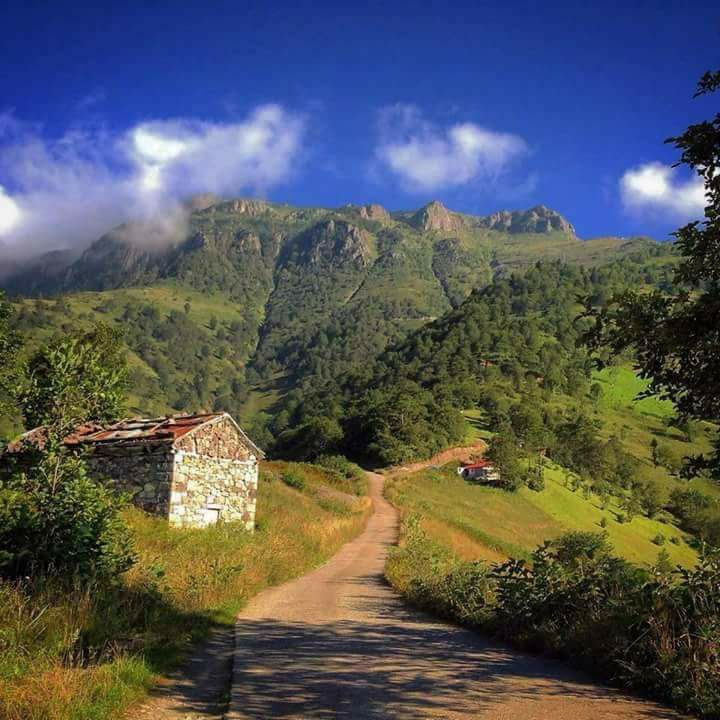 Araklı Yüceyurt Köyü Resimleri 7