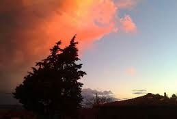 Ezine Sarısöğüt  Köyü Resimleri 2