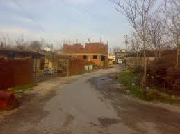 Ezine Sarısöğüt  Köyü Resimleri 3