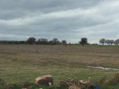 Ezine Sarısöğüt  Köyü Resimleri 5