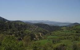 Ezine Sarısöğüt  Köyü Resimleri 8