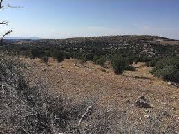 Ezine Şapköy  Köyü Resimleri 5