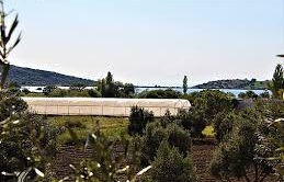 Ezine Uluköy Köyü Resimleri 1