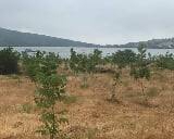 Ezine Uluköy Köyü Resimleri 4