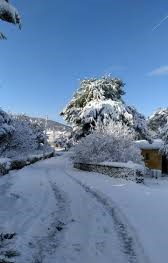 Ezine Yaylacık Köyü Resimleri 4