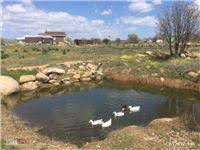 Ezine Yaylacık Köyü Resimleri 5