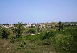 Ezine Yeniköy  Köyü Resimleri 10