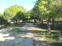 Ezine Yeniköy  Köyü Resimleri 2