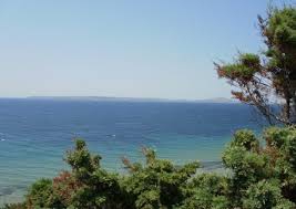 Ezine Yeniköy  Köyü Resimleri 5