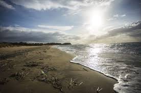 Ezine Yeniköy  Köyü Resimleri 9