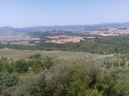 Gelibolu Bayırköy  Köyü Resimleri 6