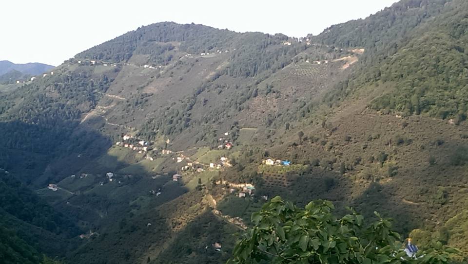 Espiye Gümüşdere Köyü Resimleri 2