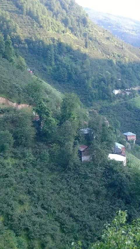 Espiye Gümüşdere Köyü Resimleri 3