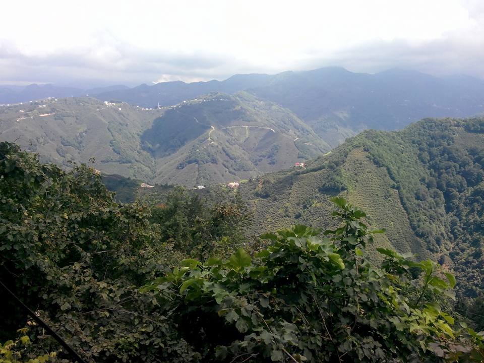 Espiye Güneyköy Köyü Resimleri 2