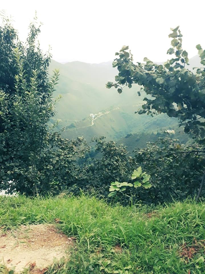 Espiye Güneyköy Köyü Resimleri 3