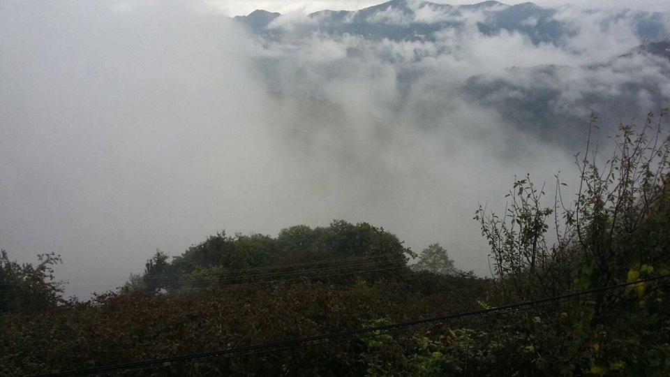 Espiye Güneyköy Köyü Resimleri 4