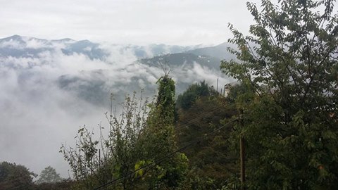 Espiye Güneyköy Köyü Resimleri 5