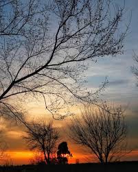 Gelibolu Burhanlı  Köyü Resimleri 1