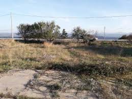 Gelibolu Burhanlı  Köyü Resimleri 3