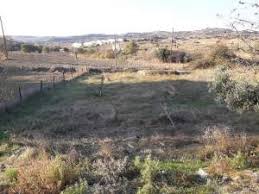 Gelibolu Burhanlı  Köyü Resimleri 4