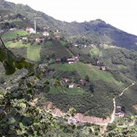 Espiye Güzelyurt Köyü Resimleri 10