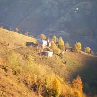 Espiye Güzelyurt Köyü Resimleri 2