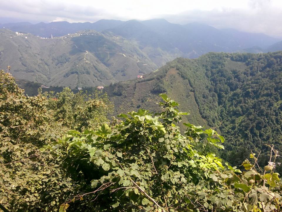 Espiye Güzelyurt Köyü Resimleri 8