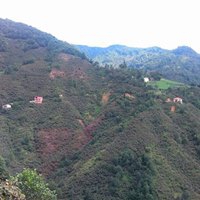 Espiye Hacımahmutlu Köyü Resimleri 2