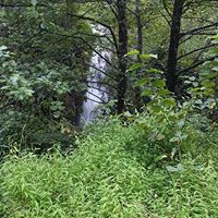 Espiye Hacımahmutlu Köyü Resimleri 5