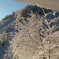 Espiye Hacımahmutlu Köyü Resimleri 7