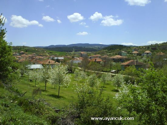 Banaz Paşacık Köyü Resimleri 1