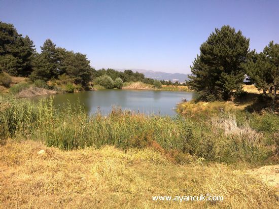 Banaz Paşacık Köyü Resimleri 2